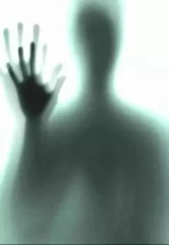 Тени разума