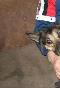 теперь я на другой стороне монитора