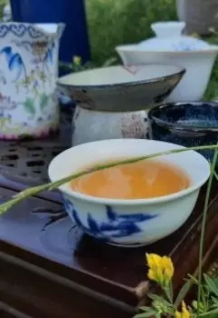 Тимбилдинг на выживание