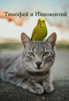 Тимофей и Иннокентий