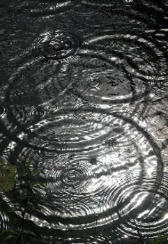 Тёмная_ жидкость.