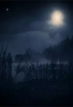 Тёмная сторона