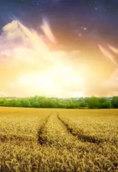 Тяжёлая дорога