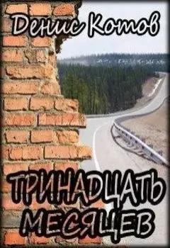 Тринадцать месяцев