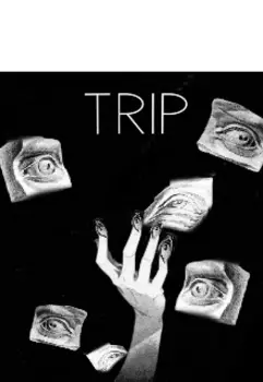 Trip