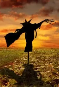 Трое в поле, не считая пугала