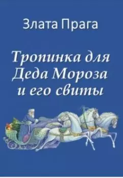 Тропинка для Деда Мороза и его свиты
