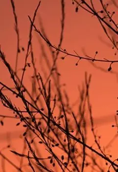 Тропой жрецов