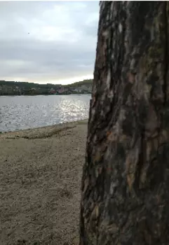 Туманная кукла