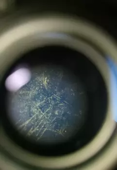 Твоё любимое блюдо