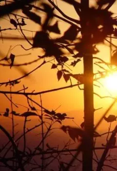 Ты мне нужна