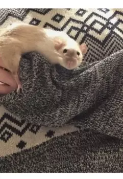 Ты не всегда одинок