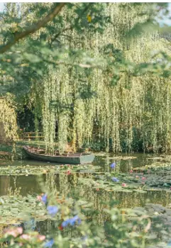 У изгиба ручья