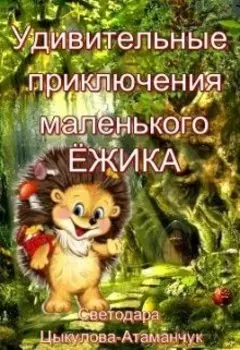 Удивительные приключения маленького Ёжика