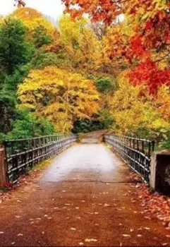 Ультиматум