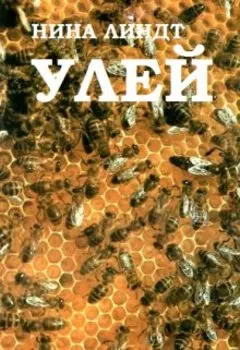 Улей