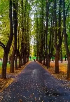 Упущенное время