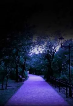 Ужас белой ночи