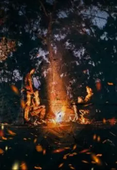 Ужас в лесной глуши.