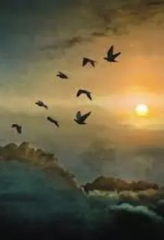 В погоне за счастьем