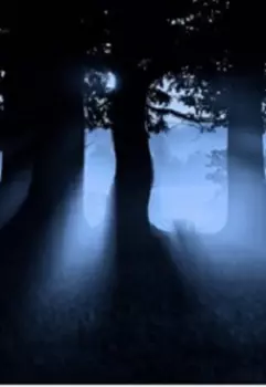 В поисках веры