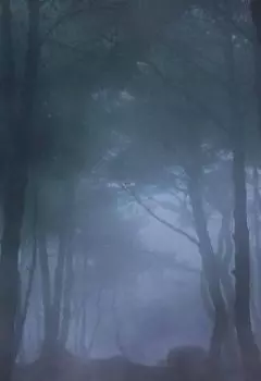 В Серых Землях