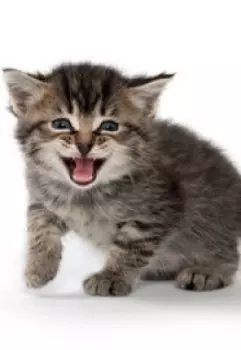 В воспитательных целях