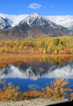 Валеты изо льда (мини из сборника трагикомедий – на пробу)