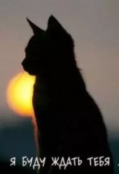 Васька. Я буду ждать тебя!