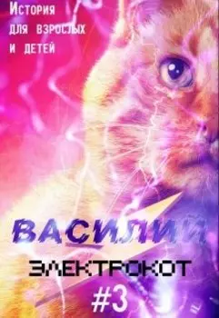 Василий - электрокот