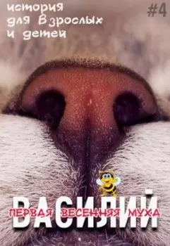 Василий - первая весенняя муха