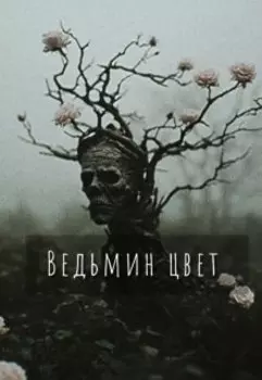 Ведьмин цвет