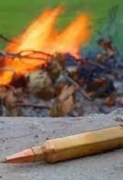 Век живи, век учись, а ……