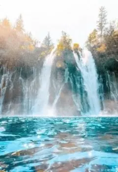 Великие цитаты