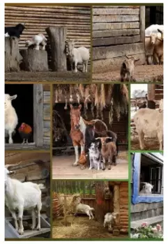 Вересковые поля