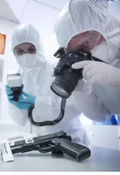 Веслые будни