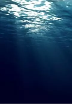 Ветвь эволюции