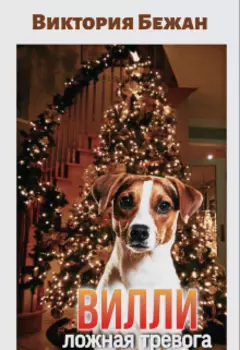 Вилли. Ложная тревога.