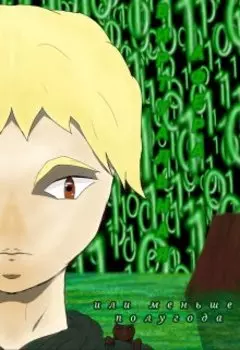 Виртуальная афера, или меньше полугода