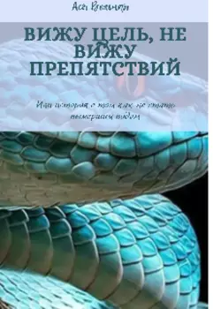 Вижу цель,не вижу препятствий!