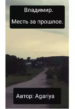 Владимир. Месть за прошлое.