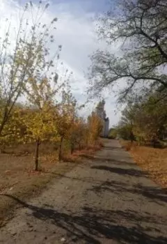 Вместо секса месть