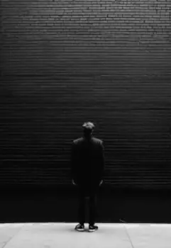 Вмурованные