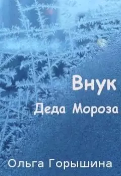 Внук Деда Мороза