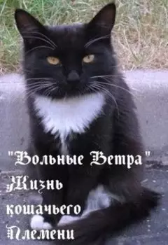 "Вольные Ветра" Жизнь кошачьего племени