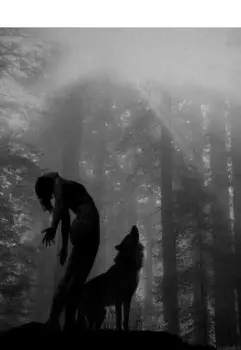 Волчья стая