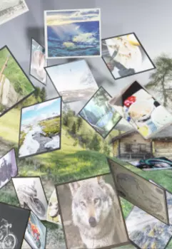 Волчонок. Путь домой. Том 1.