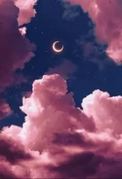 Волей судьбы мы стали попутчиками