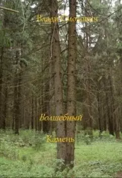Волшебный камень