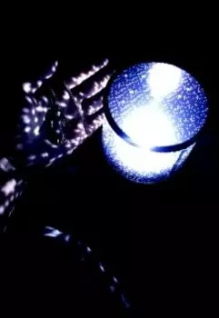 Волшебство новогодней ночи